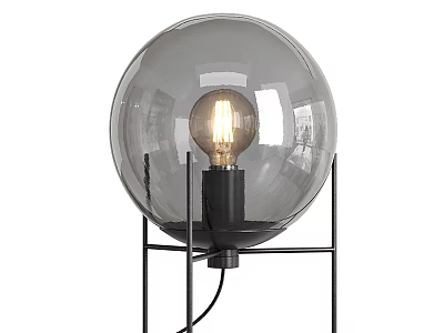 Modern Table Lamp With Transparent Glass Globe Black Metal Stand And Vintage Filament Bulb 3d model
