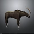 Unique Brown Animal With Long Curved Horns Standing On Dark Surface