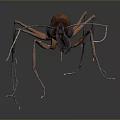 Detailed 3D Rendered Ant Close Up View Showing Body Antennae And Legs