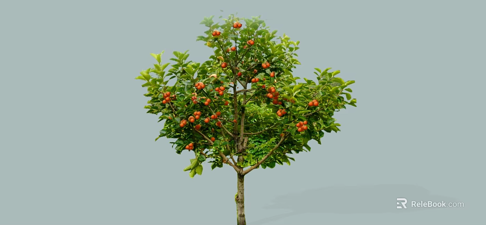 Lush Arbor Tree With Green Leaves And Abundant Red Fruits 3d model 