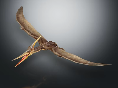 Prehistoric Pterosaur Reptile Flying With Outstretched Wings And Long Beak 3d model