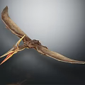 Prehistoric Pterosaur Reptile Flying With Outstretched Wings And Long Beak