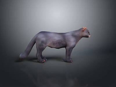 3D Black Animal Model in Standing Pose with Gray Gradient Background and Reflective Surface 3d model