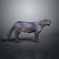 3D Black Animal Model in Standing Pose with Gray Gradient Background and Reflective Surface 3d model