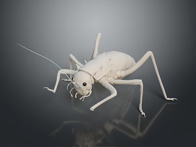 Detailed White Cricket 3D Model Displayed On Gray Background With Reflection 3d model