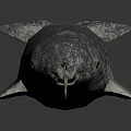 Narwhal Marine Animal With Long Spiral Tusk On Dark Background With Reflection