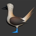 3D Modeled Cartoon Game Character With Striped White Head Brown Wings And Blue Feet