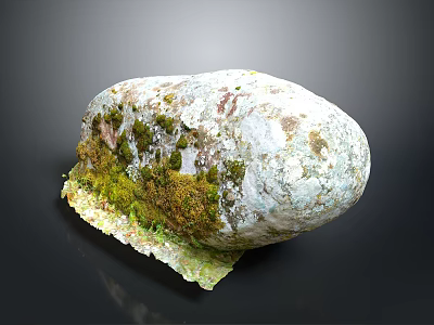 Weathered Rock Surface Covered With Green Moss And Lichen Details 3d model