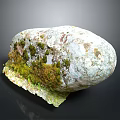 Weathered Rock Surface Covered With Green Moss And Lichen Details