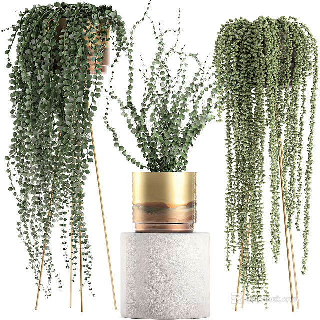 Bonsai Potted Plant With Hanging Green Foliage In Gold Brown Pot On White Pedestal 3d model 