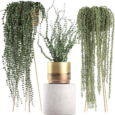 Bonsai Potted Plant With Hanging Green Foliage In Gold Brown Pot On White Pedestal 3d model