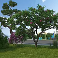 Garden Landscape With Pine Tree Pink Flowering Tree Purple Flowers Green Lawn And Blue Benches