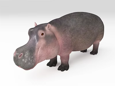 Modern Hippo 3d model Modern Hippo 3d model