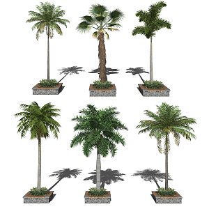 Modern Tree Tropical Plants Landscape Trees Greening Plants 3d model