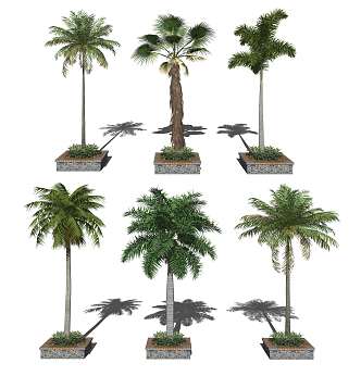 Modern Tree Tropical Plants Landscape Trees Greening Plants 3d model