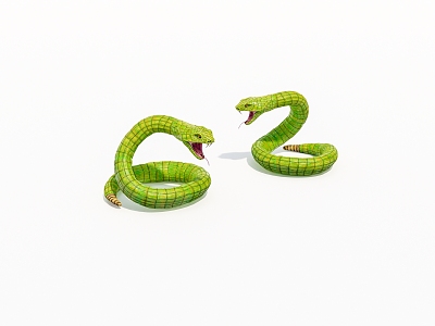 Reptile Rattlesnake 3d model