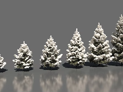 Snow Covered Evergreen Trees in Different Sizes with Reflections on Surface 3d model