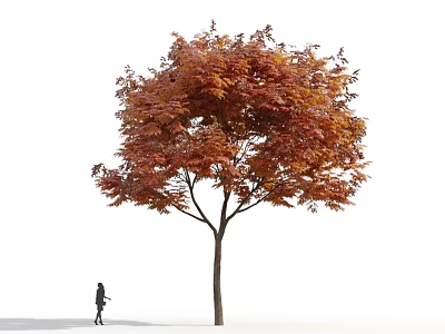 Tall Arbor In Autumn Scene With Red Orange Leaves And Person Walking By 3d model