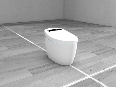 Sanitary Toilet Smart Toilet model