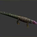 Realistic Crocodile Reptile 3D Model With Detailed Scales Long Tail And Textured Skin