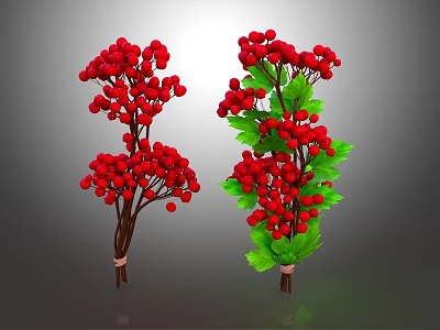Vibrant Red Berry Plant Branches with Lush Green Leaves Decorative 3d model