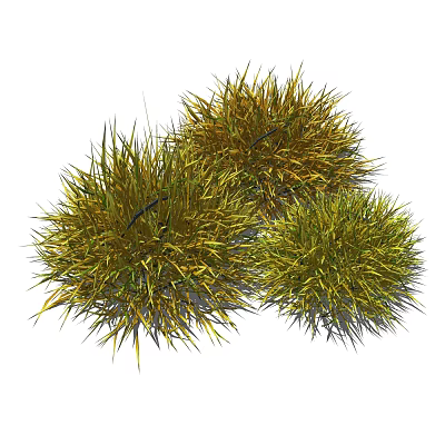 modern grass 3d model