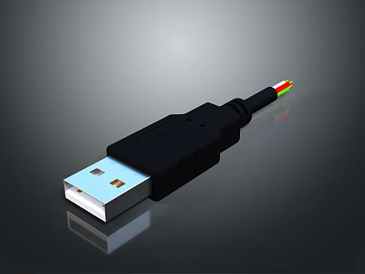 Black USB Cable with USB Connector for Data Transfer and Daily Charging Use 3d model