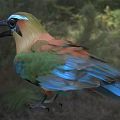 Colorful Bird With Vibrant Green Blue Plumage And Open Large Beak In Natural Grassland Setting