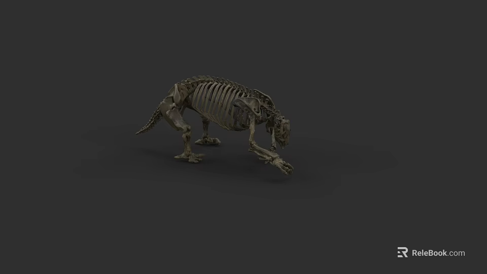 Dinosaur Skeleton Model With Detailed Bone Structure And Natural Posture 3d model 