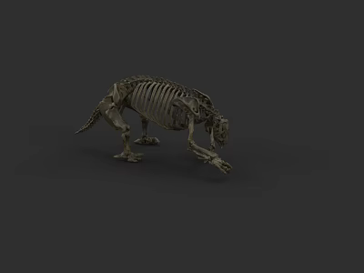 Dinosaur Skeleton Model With Detailed Bone Structure And Natural Posture 3d model