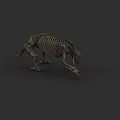Dinosaur Skeleton Model With Detailed Bone Structure And Natural Posture