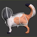 Cat Wearing Protective Headgear And Body Cover For Pet Safety