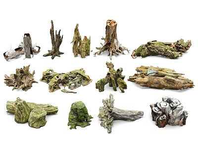 Natural Stone and Wood Decorative Elements with Various Tree Stumps and Roots 3d model