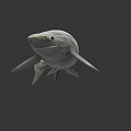 3D Model of White Shark With Fins And Tail On Dark Background