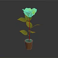 Yellow Flower Plant With Green Leaves In Brown Pot On Dark Background