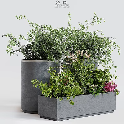 Modern Garden Decor with Gray Planters Various Green Plants and Pink Flowers 3d model