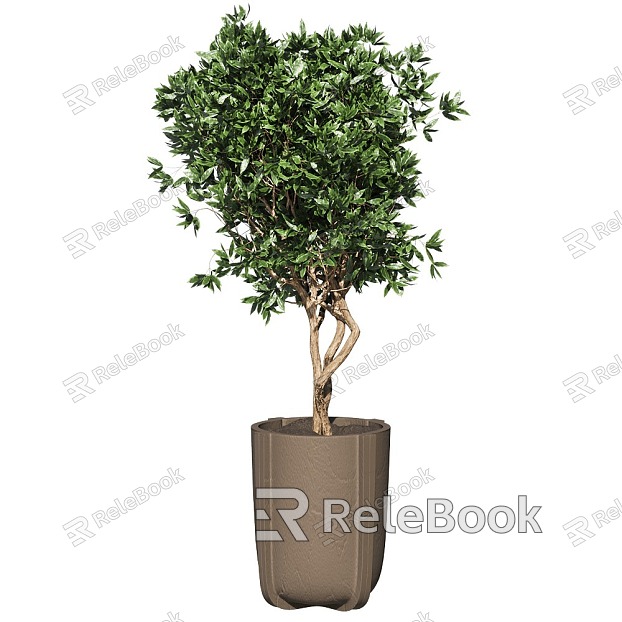 potted tree landscape tree shrub plant model