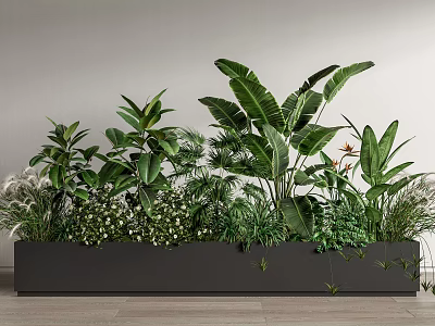 Lush Indoor Potted Plants Display With Various Green Foliage In Long Planter 3d model