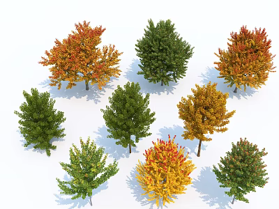 Colorful Arbor Trees with Green Red and Yellow Foliage in Various Shapes 3d model