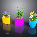 Colorful Square Flower Pots With Vibrant Colored Flowers And Green Leaves
