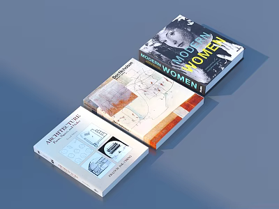 Modern Women Themed Books Collection With Artistic Cover Images And Layouts 3d model