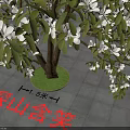 Lush Garden Arbor With White Flowers Thick Trunk And Green Grass