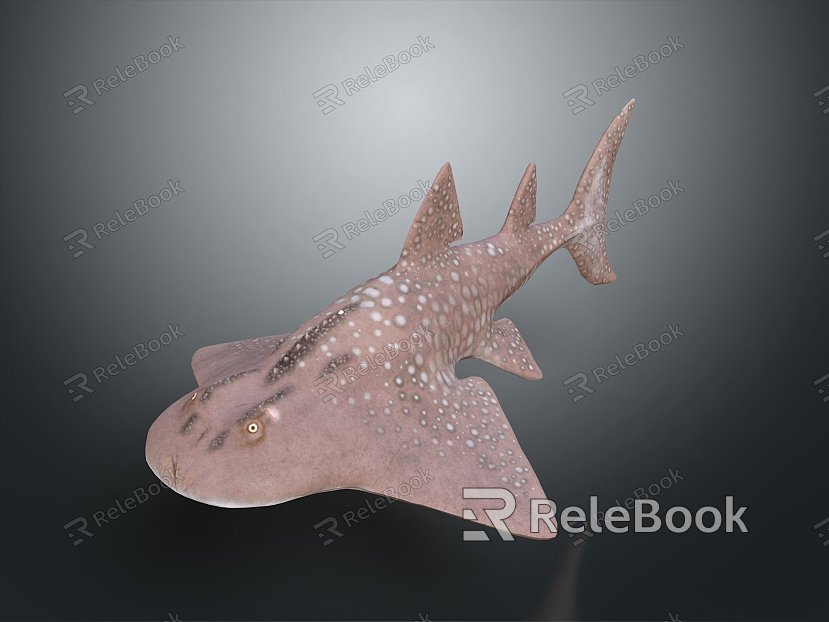 shark great white shark whale shark hammerhead shark tiger head shark man-eating shark blue shark coral red coral white coral model