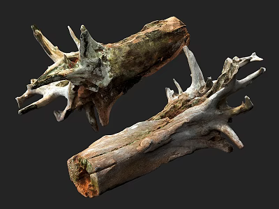 Natural Weathered Wood Stumps With Stone Like Texture And Organic Design 3d model