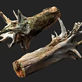 Natural Weathered Wood Stumps With Stone Like Texture And Organic Design