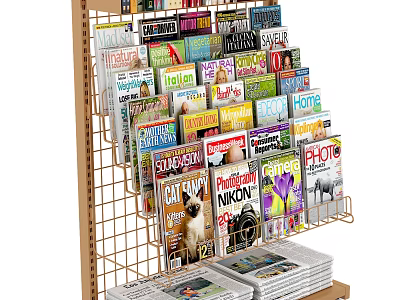Organized Display Rack Filled with Various Magazines for Retail Store 3d model