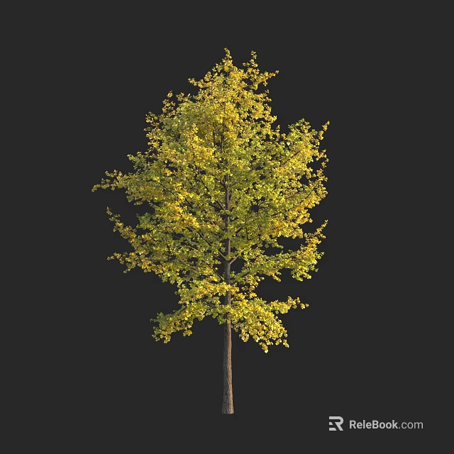 Tall Arbor With Yellow Leaves And Brown Trunk On Black Background 3d model 