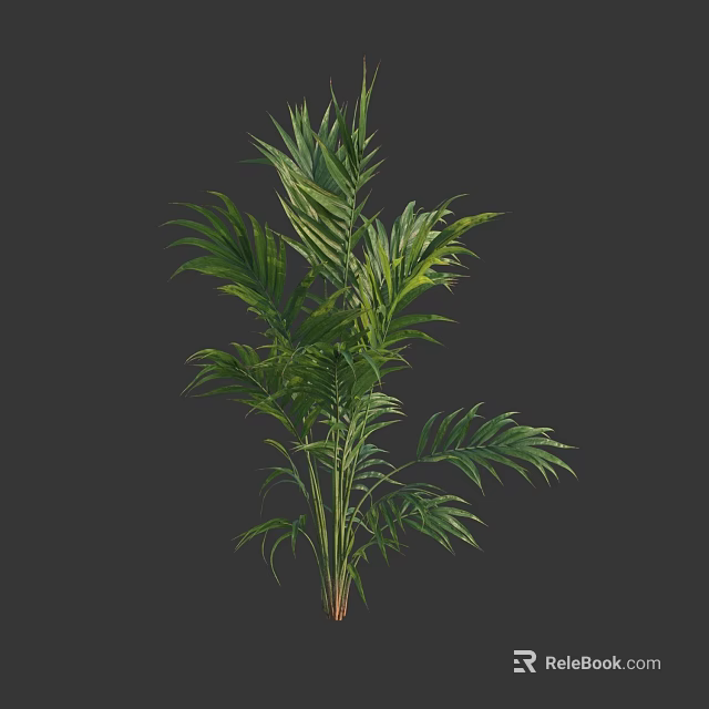 Lush Green Shrub With Dense Foliage And Vibrant Healthy Leaves 3d model 