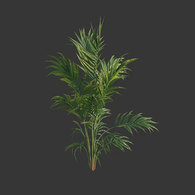 Lush Green Shrub With Dense Foliage And Vibrant Healthy Leaves 3d model