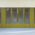 Modern Sleek Design Yellow Entrance Doors with Multiple Glass Panes and Metal Frames